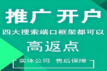 SEM优化师成功案例：助力企业实现品牌升级